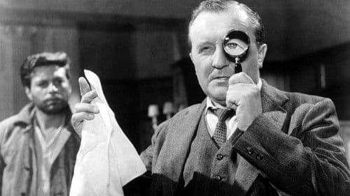 Der Frosch mit der Maske Bild 3