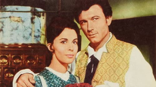 Die Wunderwelt der Gebrüder Grimm Bild 3