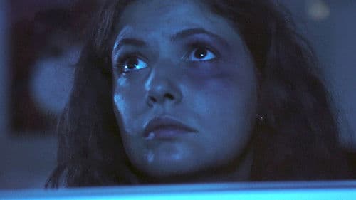 The Other Fellow Bild 6