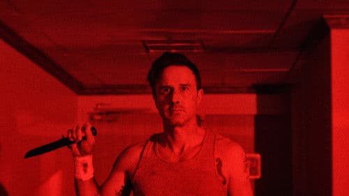 12 Hour Shift Bild 8