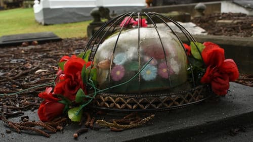 The Forgotten Bild 2