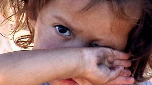 Memoria del saqueo Bild 4