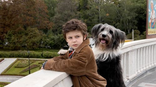 Каждый мечтает о собаке Bild 2