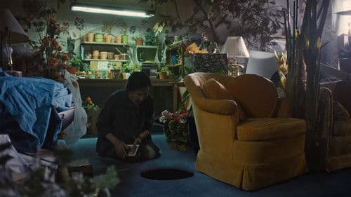 In Full Bloom Bild 3