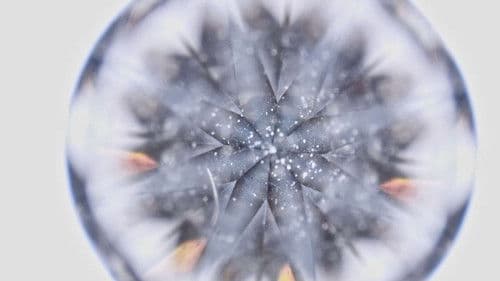 Nothing Lasts Forever Bild 7