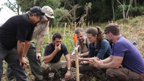 Treasure Quest: Snake Island Bild 4