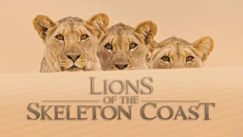 Lions of the Skeleton Coast Bild 1