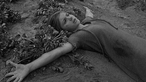 Irrwege der Leidenschaft Bild 6