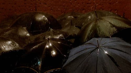 Distant Voices, Still Lives Bild 7