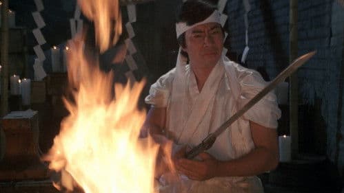 Die 1000 Augen der Ninja Bild 7