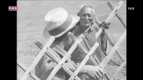 Хүргэн хүү Bild 7