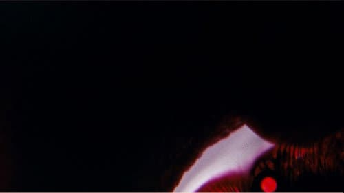 Bela Belara's A Vampire Bild 1