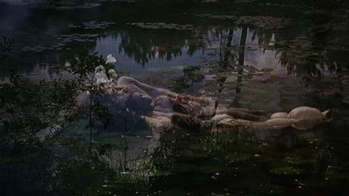 Frágil Como o Mundo Bild 5