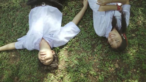 Twigs and Gum Bild 4