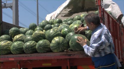 Yağmurlu Gecede "Gülperi" Bild 2