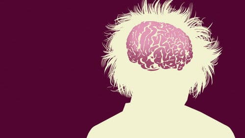 The Man Who Stole Einstein's Brain Bild 3