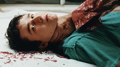 Room Temperature Bild 5