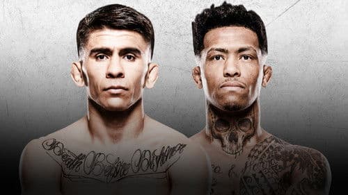 UFC Fight Night 266: Bautista vs. Oliveira Bild 3