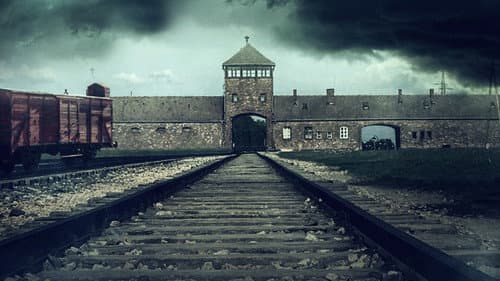 Auschwitz Untold: In Colour Bild 5
