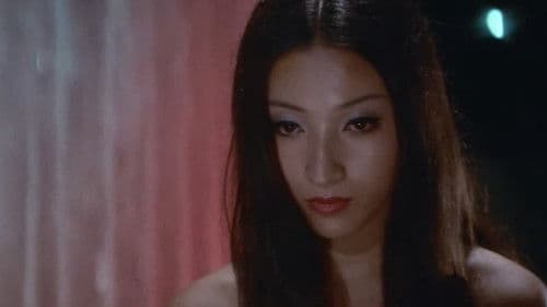 夜の歌謡シリーズ　なみだ恋 Bild 2