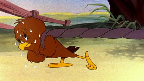 Hühnerauge, sei wachsam Bild 2