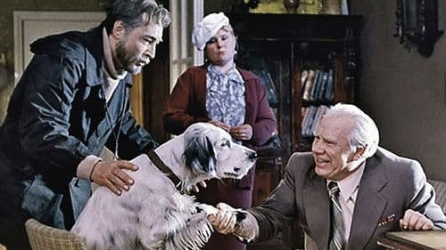 Weißer Bim, schwarzes Ohr Bild 1