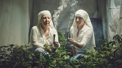 Breaking Habits Bild 5