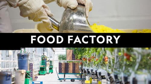 Food Factory Bild 7