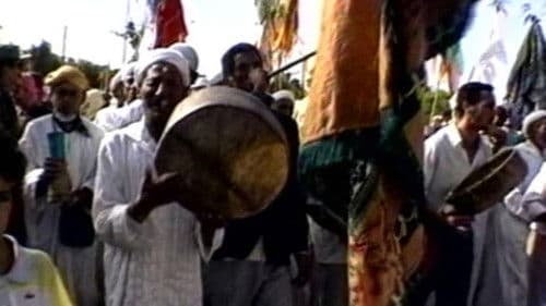 Boujad: A Nest in the Heat Bild 1