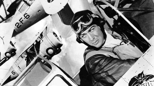 Flight Command Bild 1