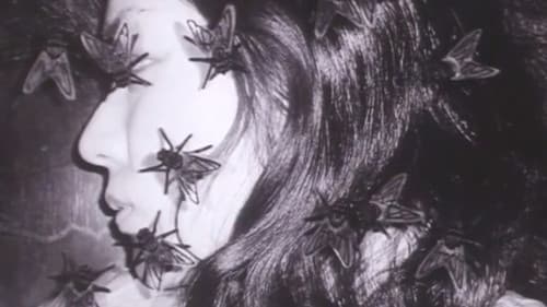 yuЯi=paRadox～眠りは覚醒である～ Bild 1