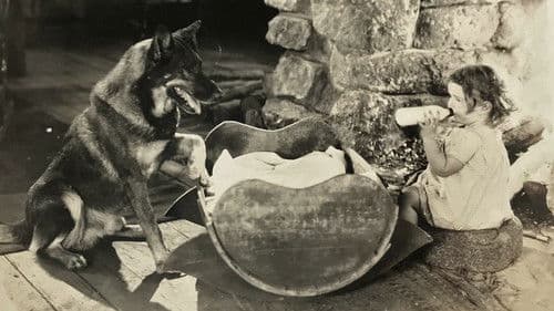 The Night Cry Bild 1