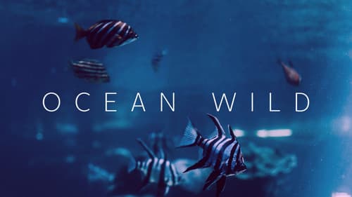 Ocean Wild Bild 1