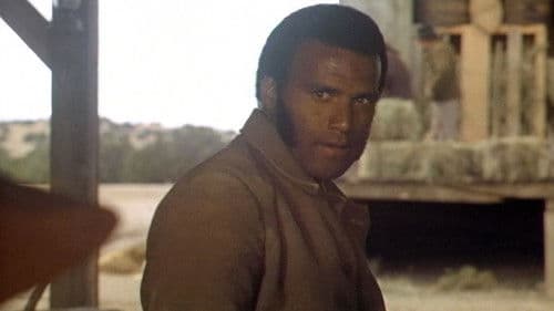 Nigger Charley Bild 4