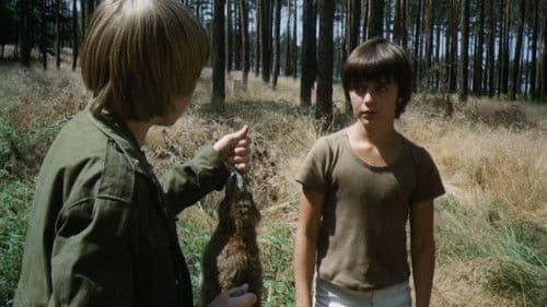 Wie die Hasen Bild 1