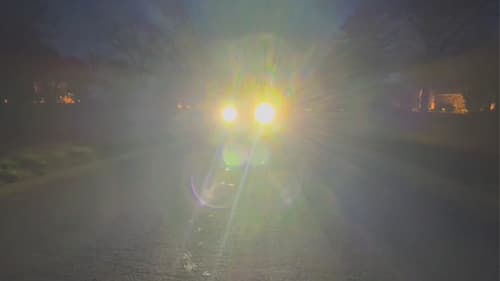 Call of the Vulture Bild 2