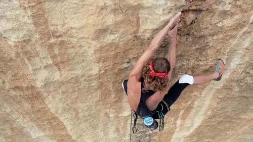 Plan-Séquence Bild 5