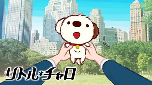 リトル・チャロ Bild 1