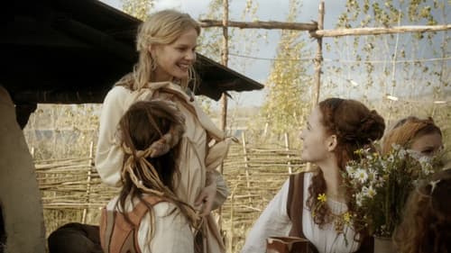 Die sechs Schwäne Bild 1