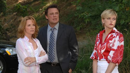 Deckname Jane Doe: Das gefälschte Original Bild 1