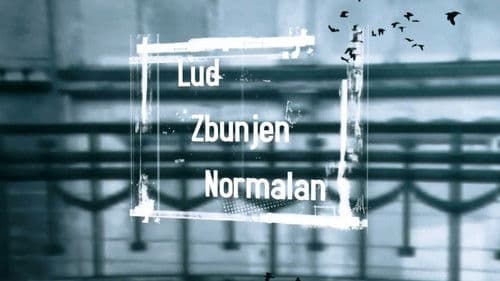 Lud, zbunjen, normalan Bild 3