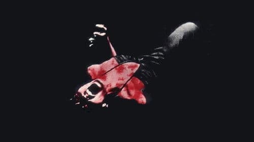 Die Nacht des Exorzisten Bild 2