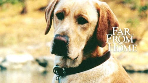 Gefährliche Wildnis Bild 7