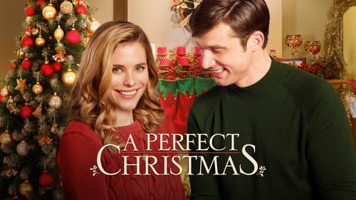 Ein perfektes Weihnachtsfest Bild 8