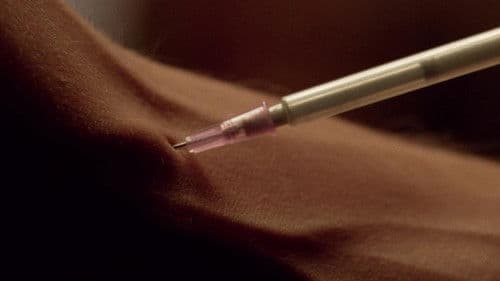 No Half Measures: Creating the Final Season of Breaking Bad Bild 3