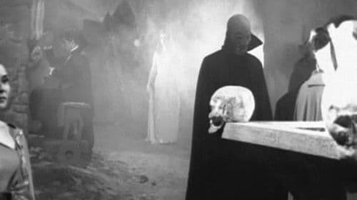 El mundo de los vampiros Bild 4