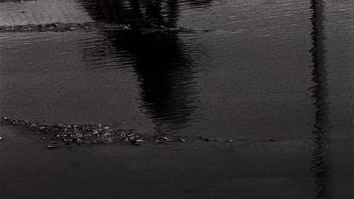 An Injury to One Bild 8