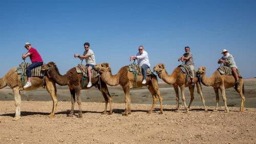 Bättre sent än aldrig Bild 2