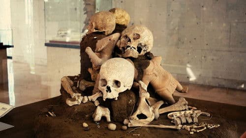 No Se Acabarán Mis Flores Bild 1