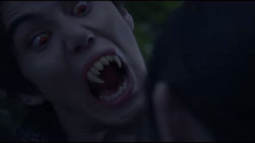 バイバイ、ヴァンプ！ Bild 1